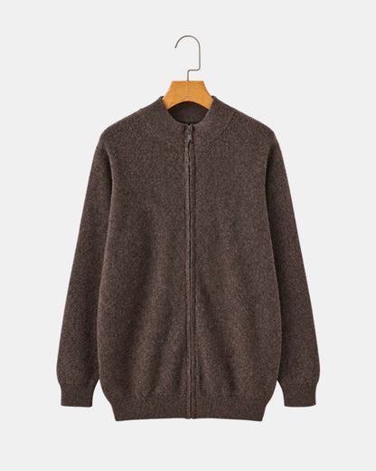 Men's Zip-Up Cashmere Jumper with Stand Collar in brown